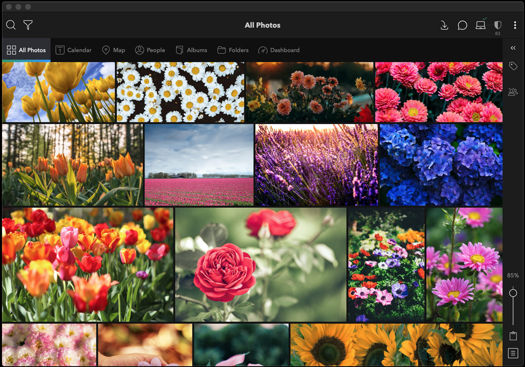 Mylio Photos: общий вид All Photos
