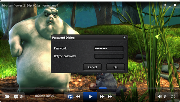 ALLPlayer: Password Dialog при включении Parental Control (Password / Retype password / OK)