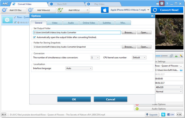 Окно настроек Any Audio Converter