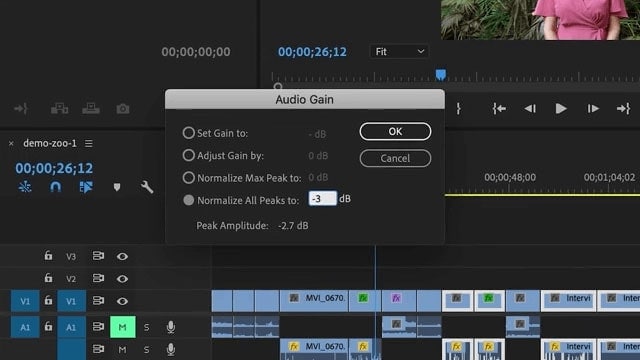 Скриншот Adobe Premiere Pro
