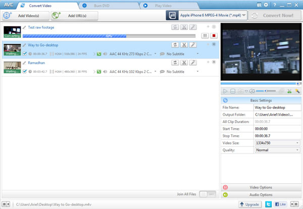Интерфейс Any Video Converter