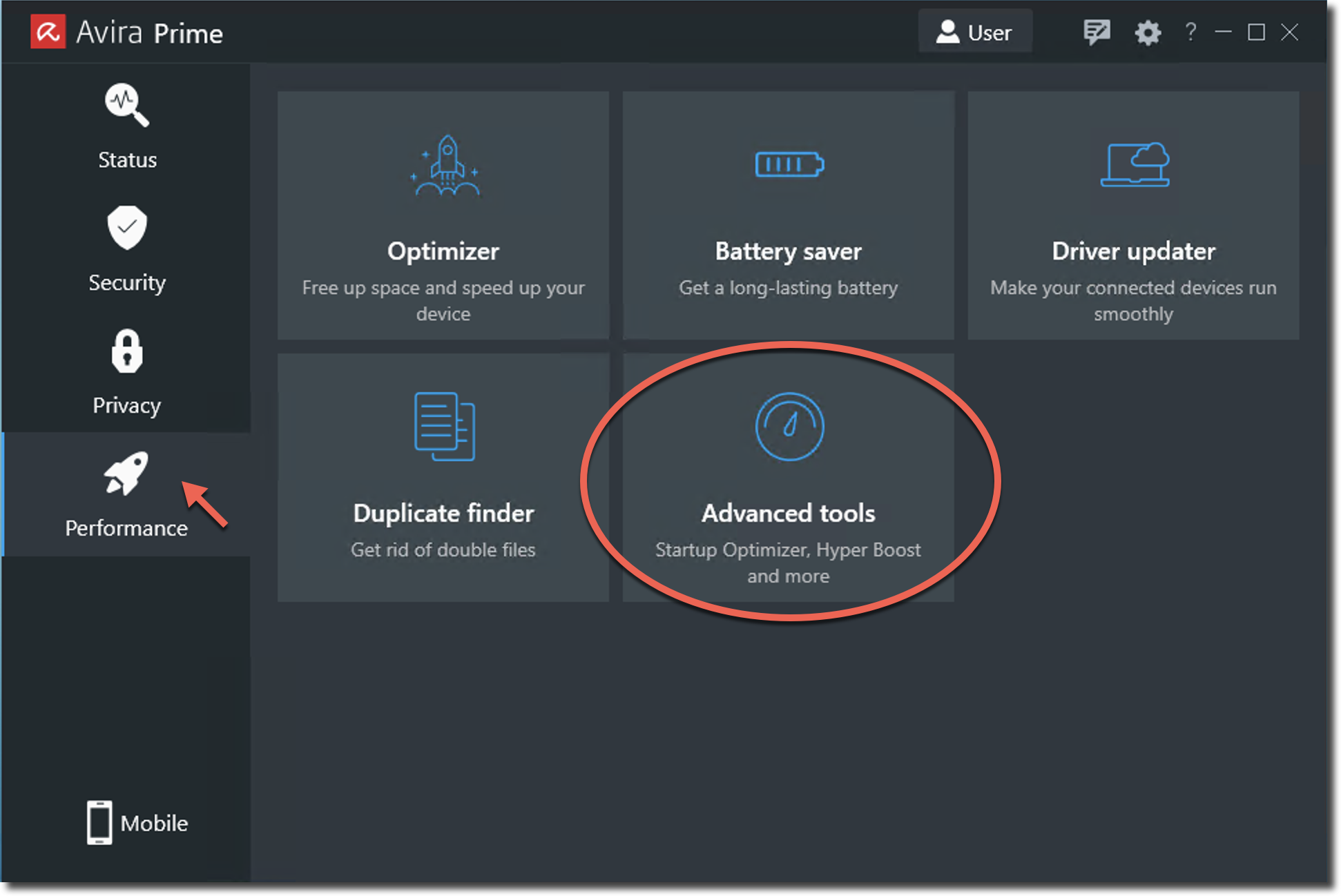 Раздел Performance в клиенте Avira с входом в Optimizer, Battery saver, Duplicate finder и Advanced tools