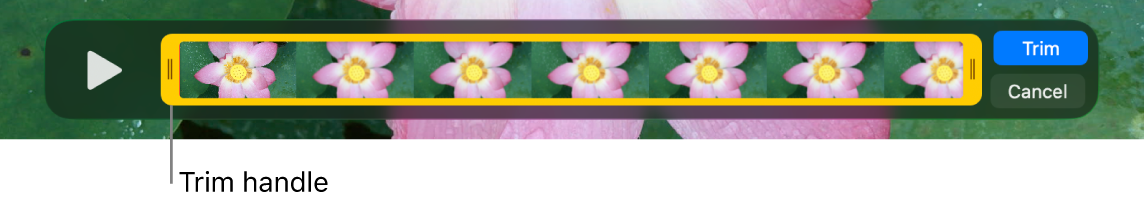 Инструмент Trim в QuickTime Player