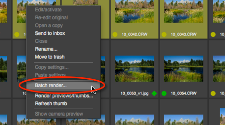 Команда Batch render в контекстном меню браузера Photo Ninja