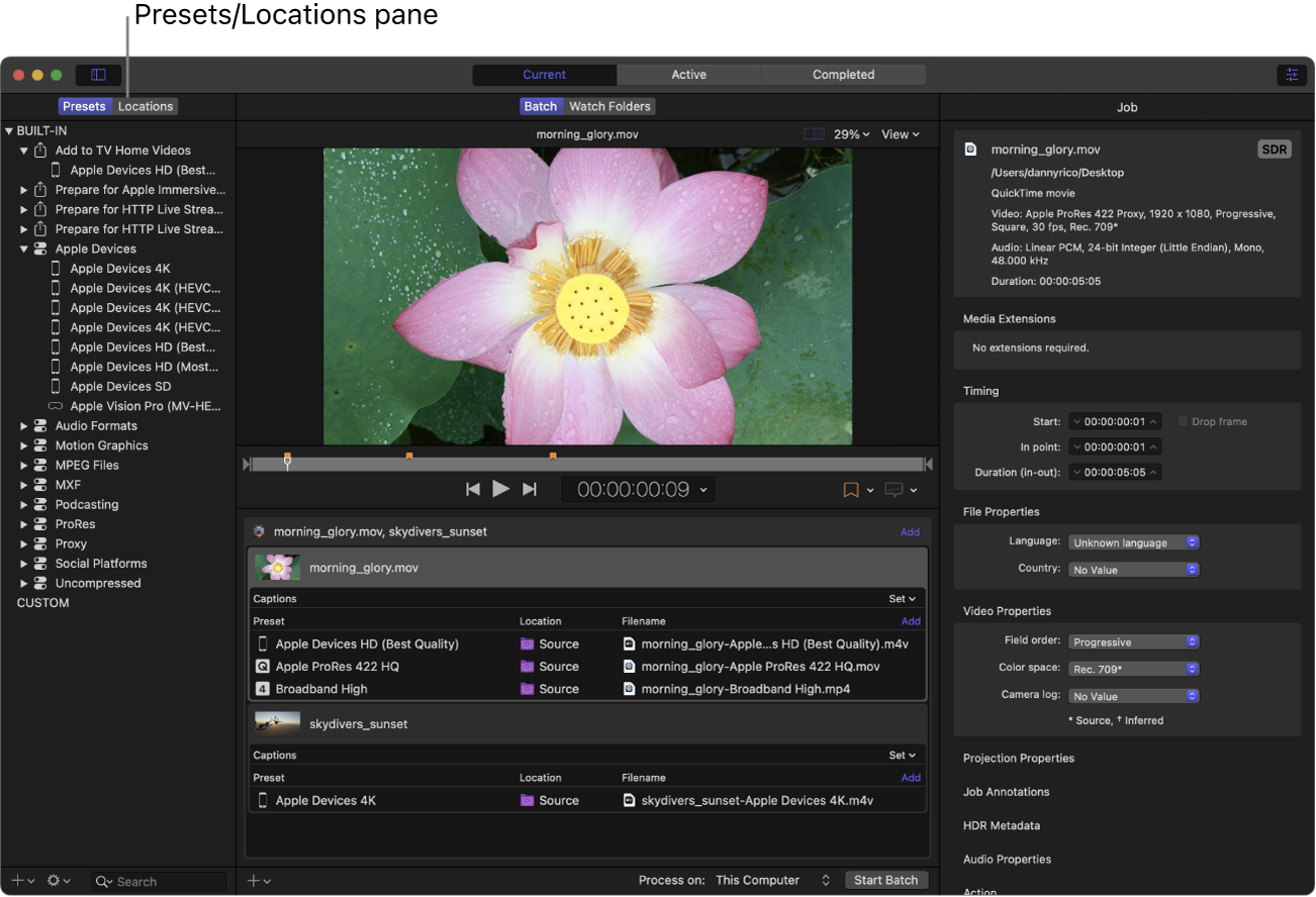 Интерфейс Apple Compressor с Presets, Batch area, Preview area и Inspector pane