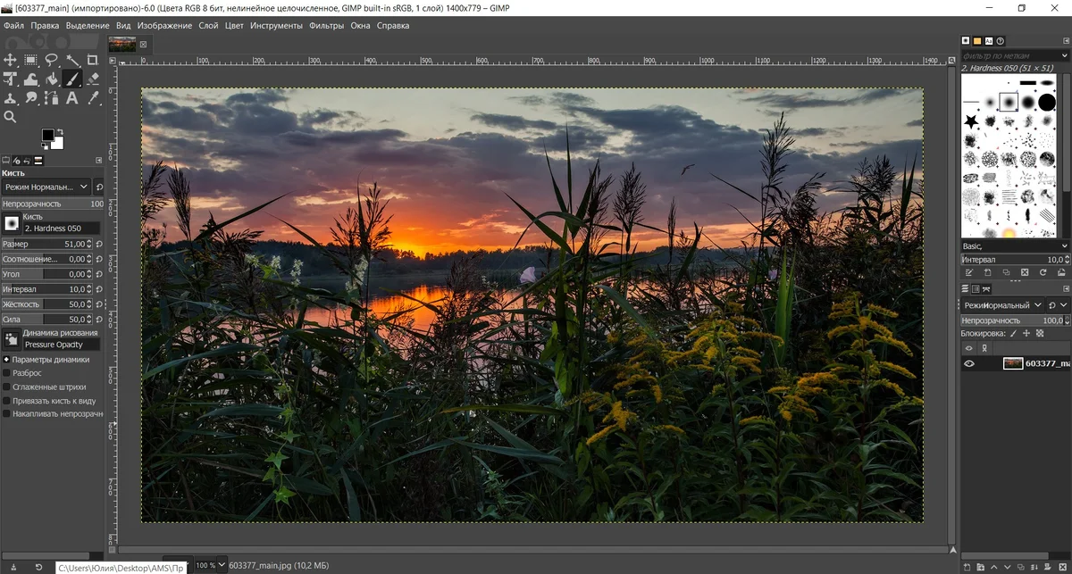 Скриншот GIMP на macOS