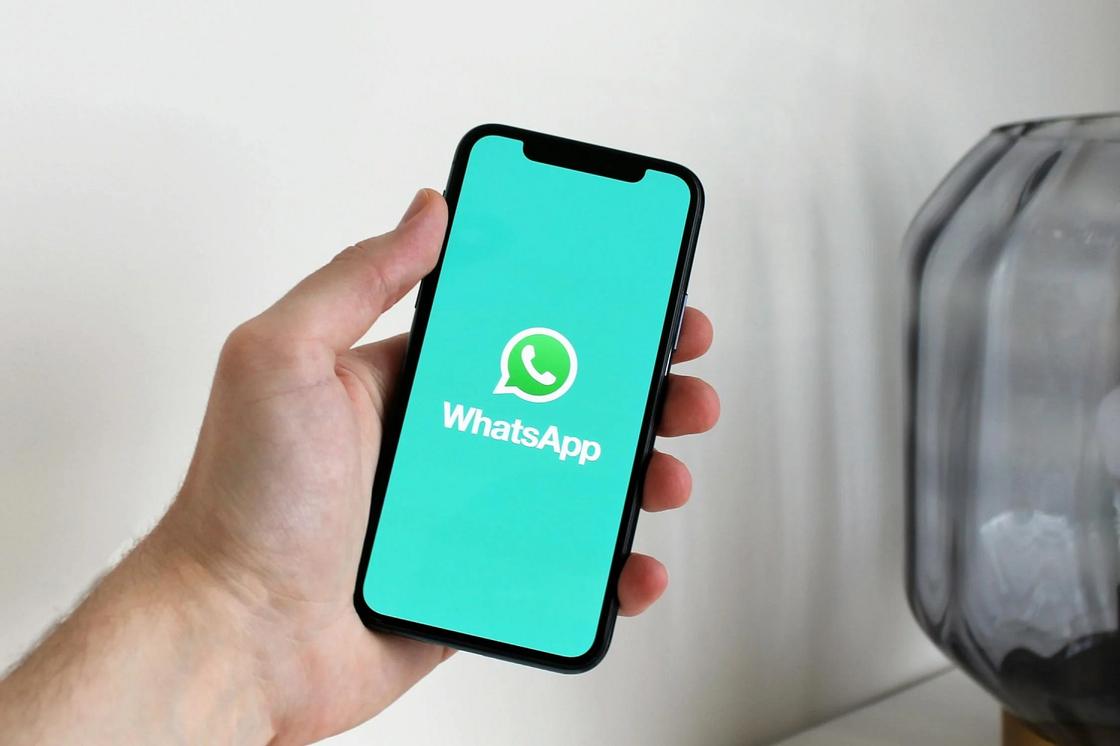 Скриншот WhatsApp