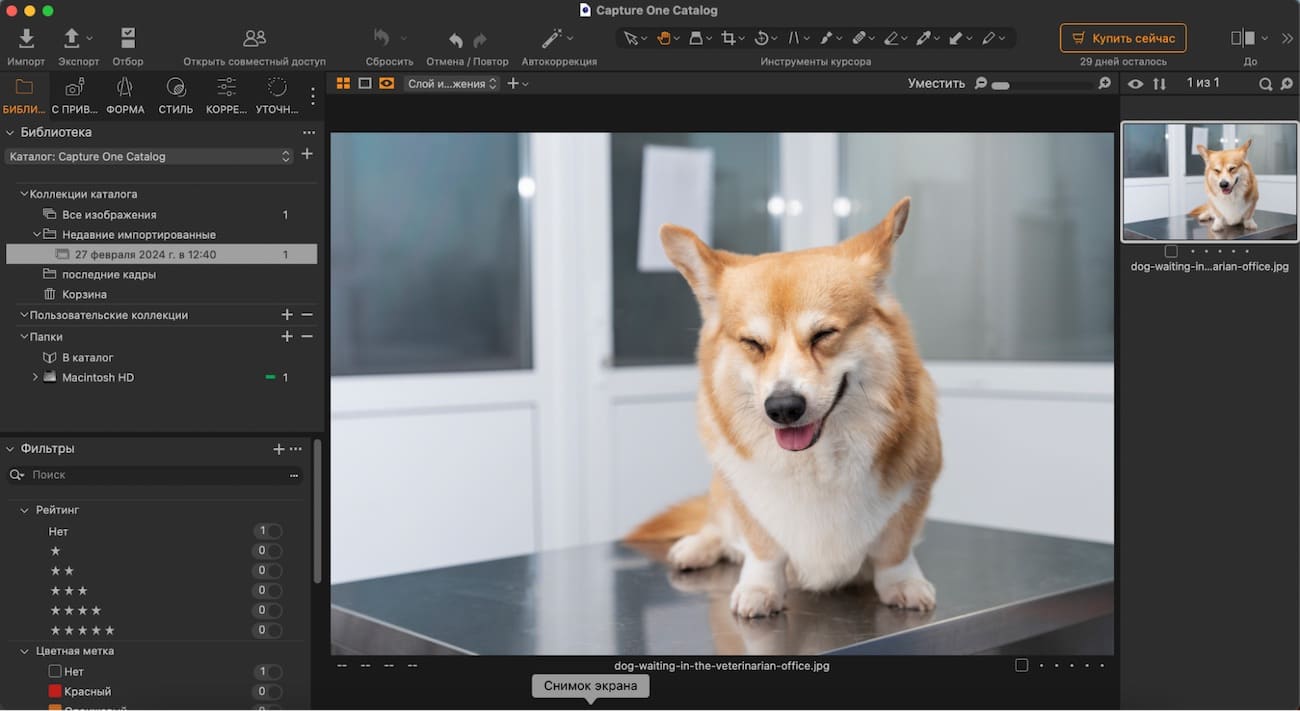 Интерфейс Capture One Pro