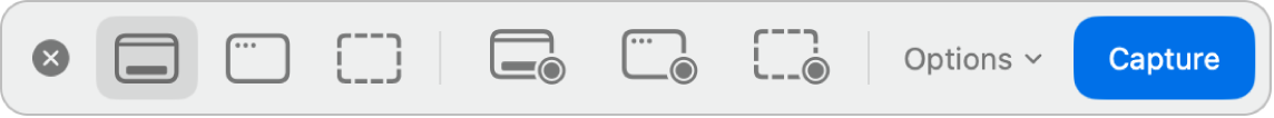 Панель снимка экрана macOS