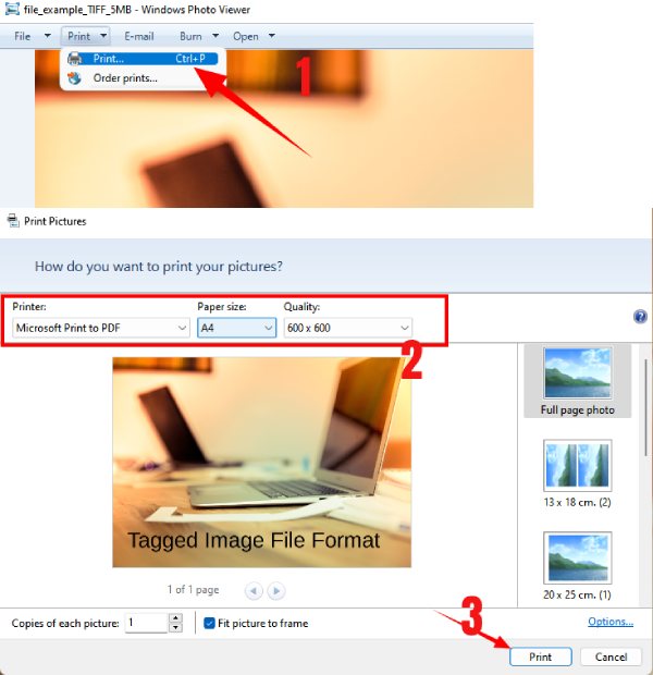 TIFF в средстве просмотра фотографий Windows