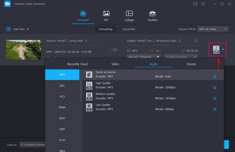 Vidmore Video Converter выбор аудиоформата