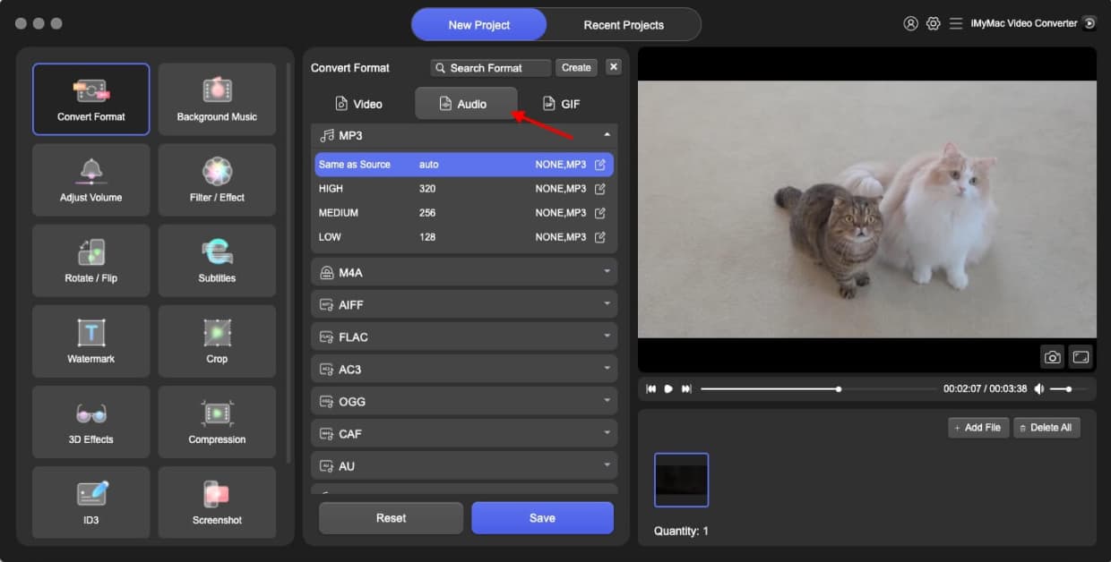 iMyMac Video Converter выбор аудиоформата