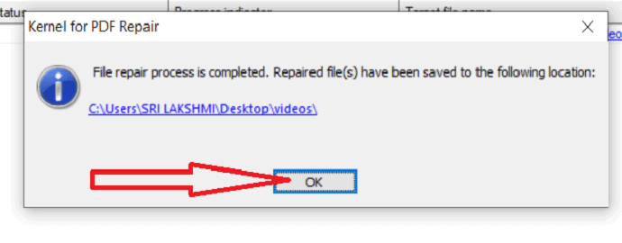 Сообщение после обработки PDF в Kernel for PDF Repair