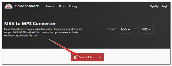 CloudConvert: выбор MKV