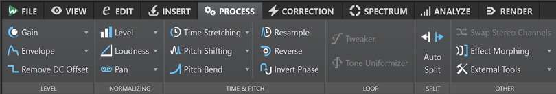 Вкладка Process в Audio Editor