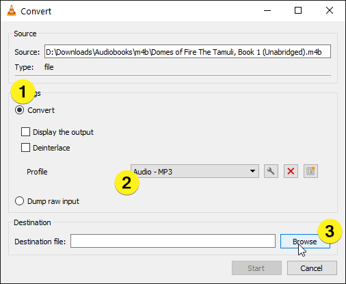 Выбор профиля Audio - MP3 в VLC