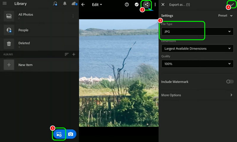 Lightroom iPhone — выбор JPG в Export as