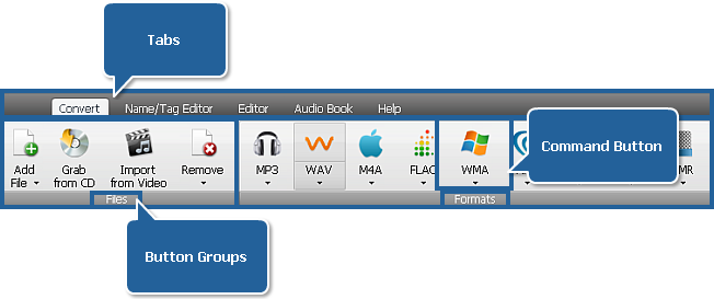 Вкладка Convert в AVS Audio Converter