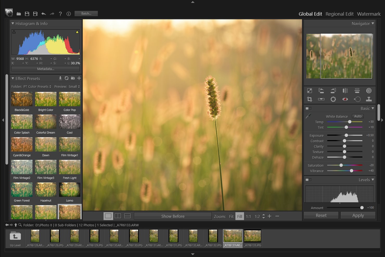 Панель Effect Presets в PT Photo Editor