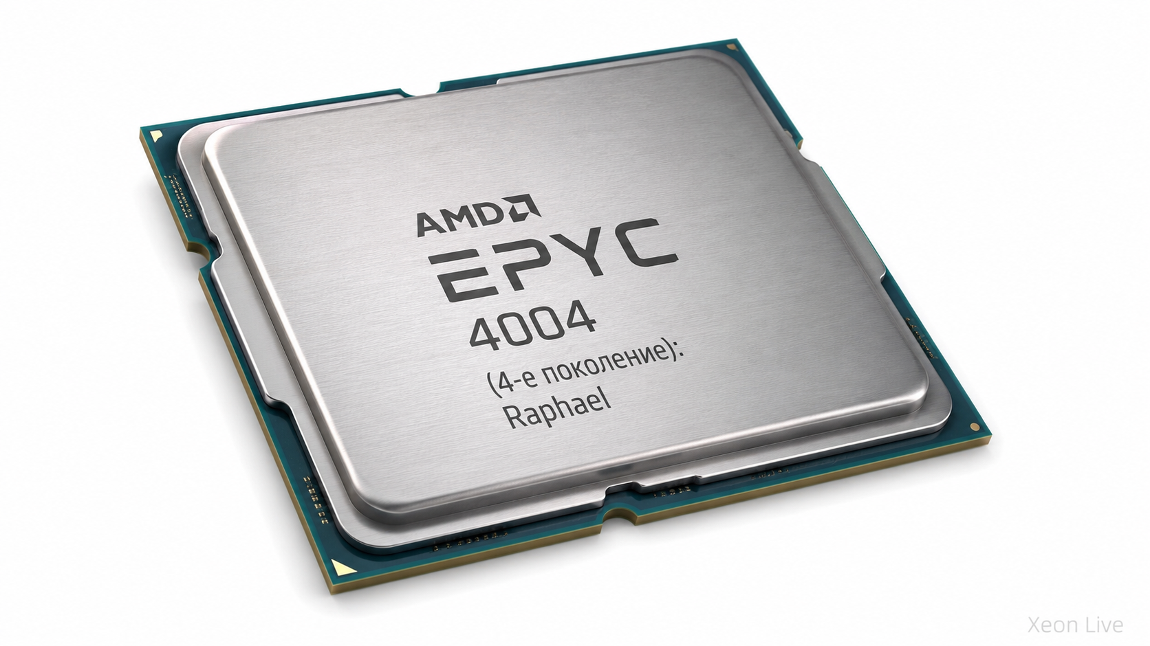 AMD EPYC 4004 (4-е поколение): Raphael — обзор серии процессоров