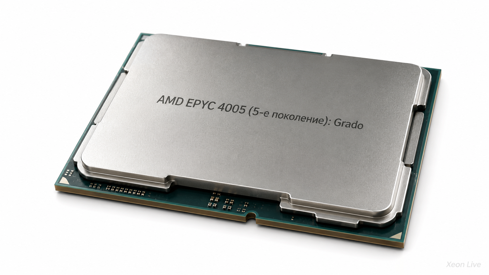 AMD EPYC 4005 (5-е поколение): Grado — обзор серии процессоров