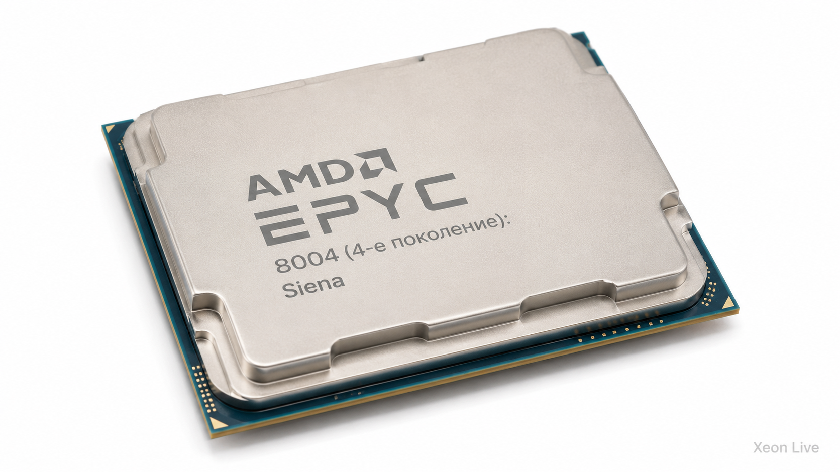 AMD EPYC 8004 (4-е поколение): Siena — обзор серии процессоров