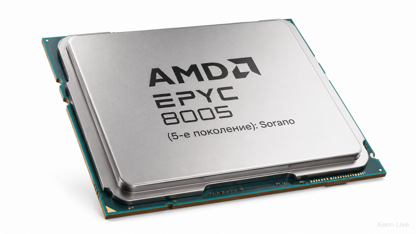 AMD EPYC 8005 (5-е поколение): Sorano — обзор серии процессоров