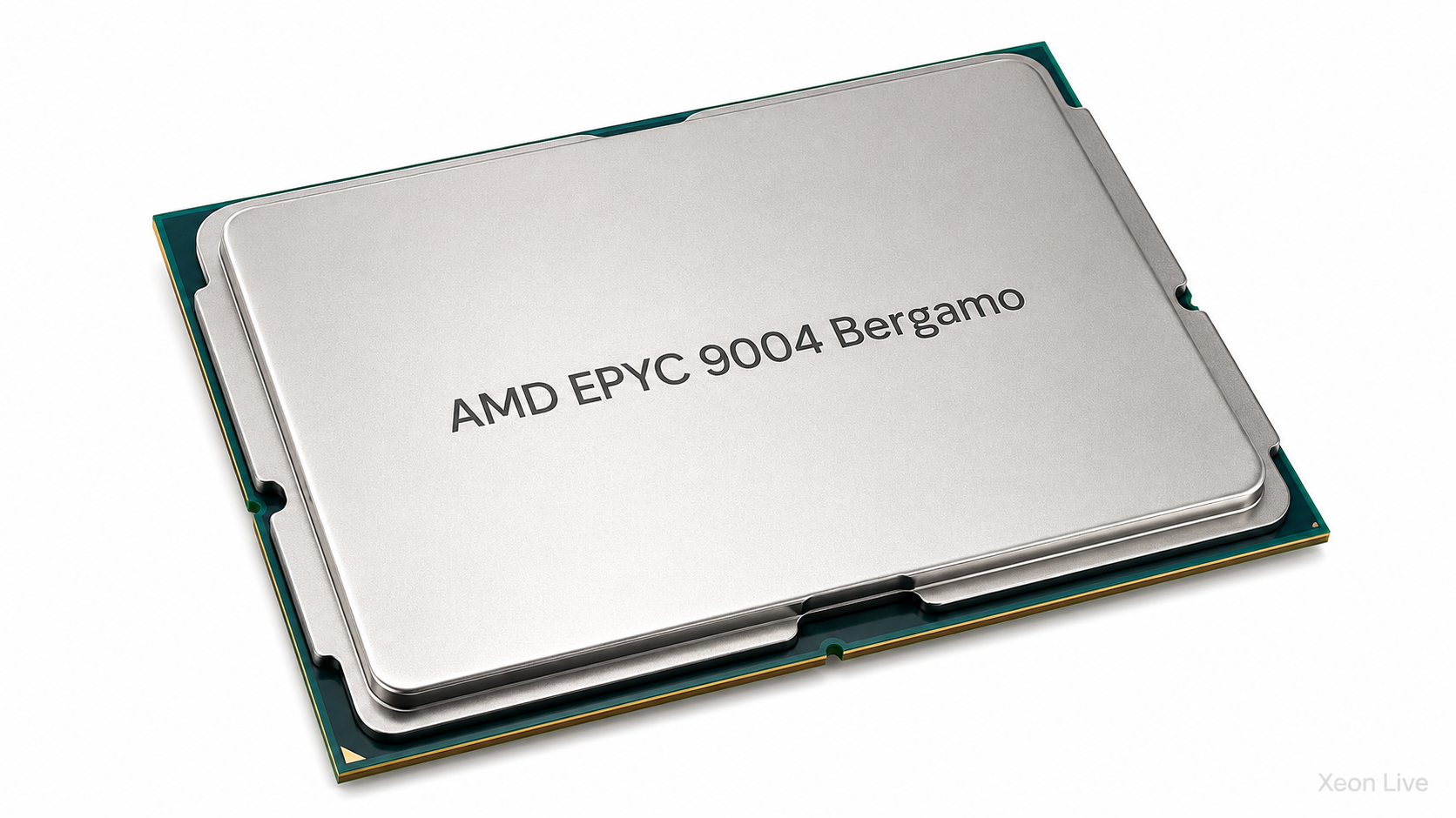 AMD EPYC 9004 Bergamo — обзор серии процессоров