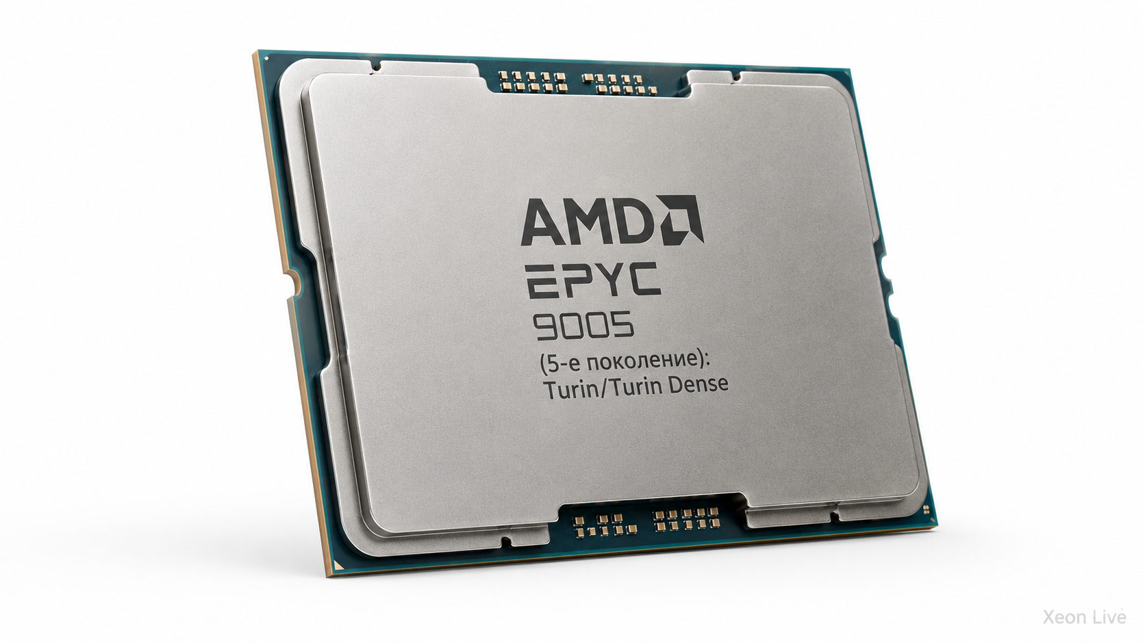 AMD EPYC 9005 (5-е поколение): Turin/Turin Dense — обзор серии процессоров