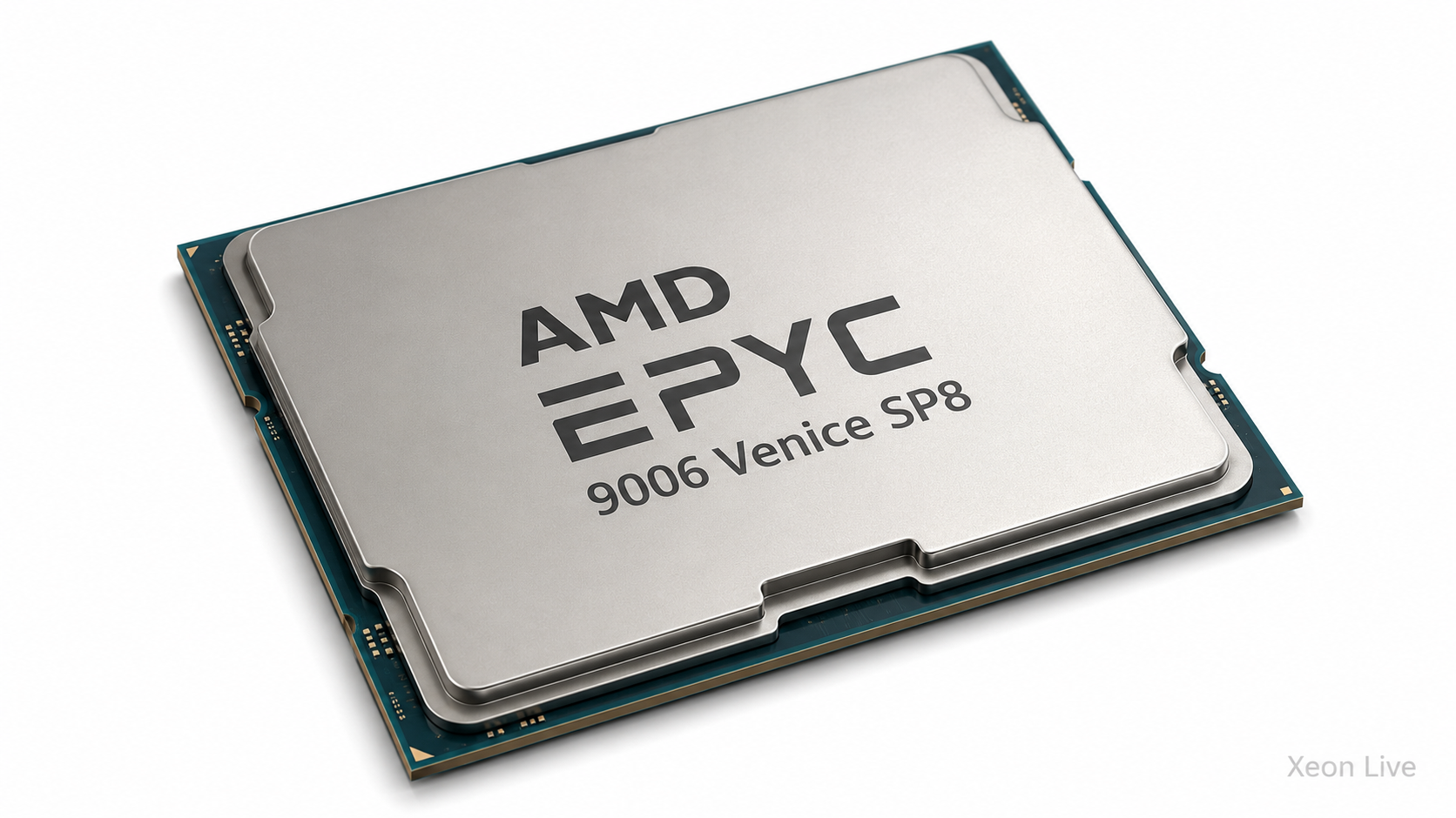 AMD EPYC 9006 Venice SP8 — обзор серии процессоров