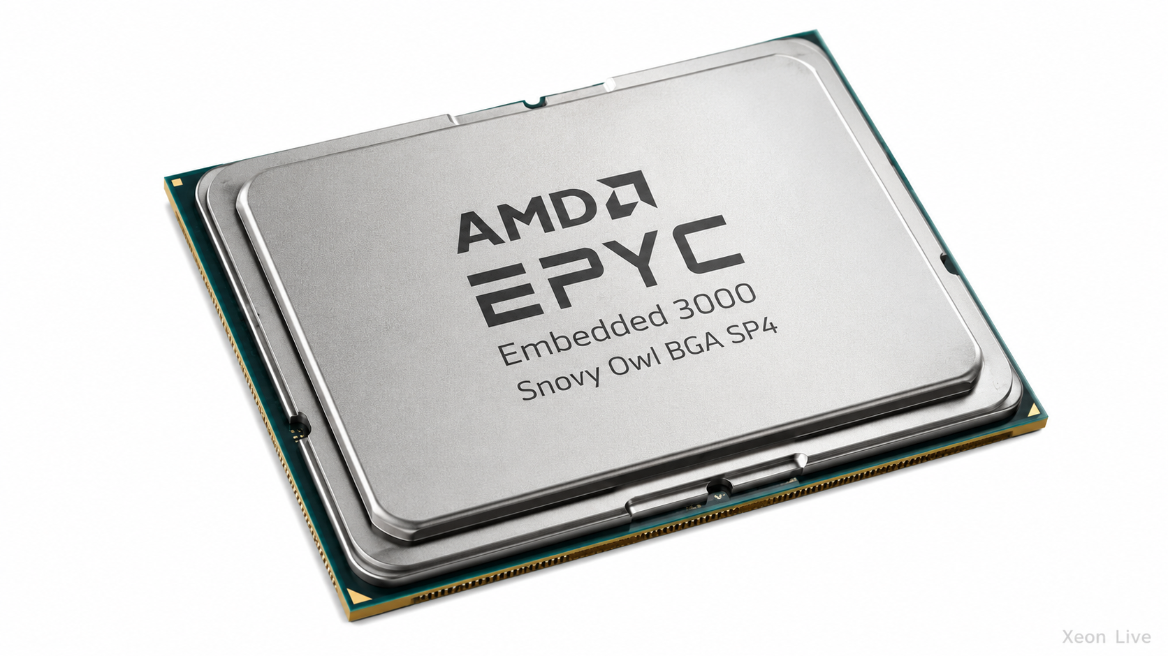 AMD EPYC Embedded 3000 Snowy Owl BGA SP4 — обзор серии процессоров