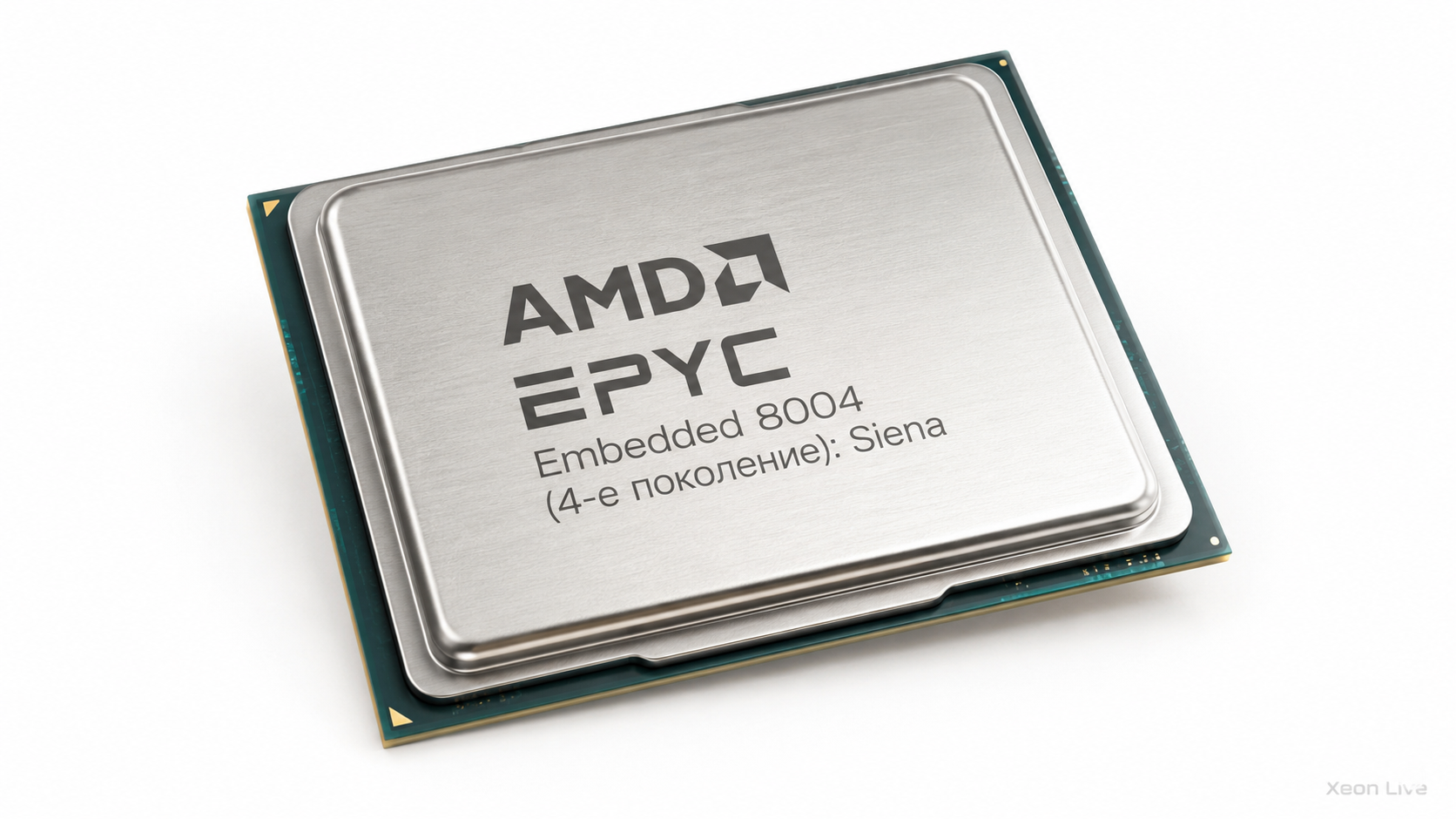 AMD EPYC Embedded 8004 (4-е поколение): Siena — обзор серии процессоров