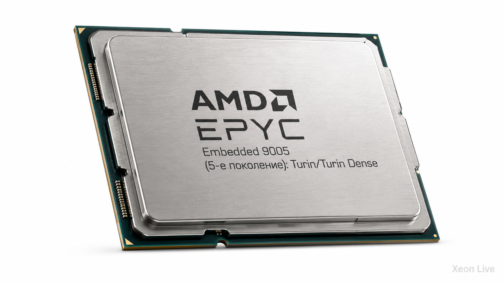 AMD EPYC Embedded 9005 (5-е поколение): Turin/Turin Dense — обзор серии процессоров