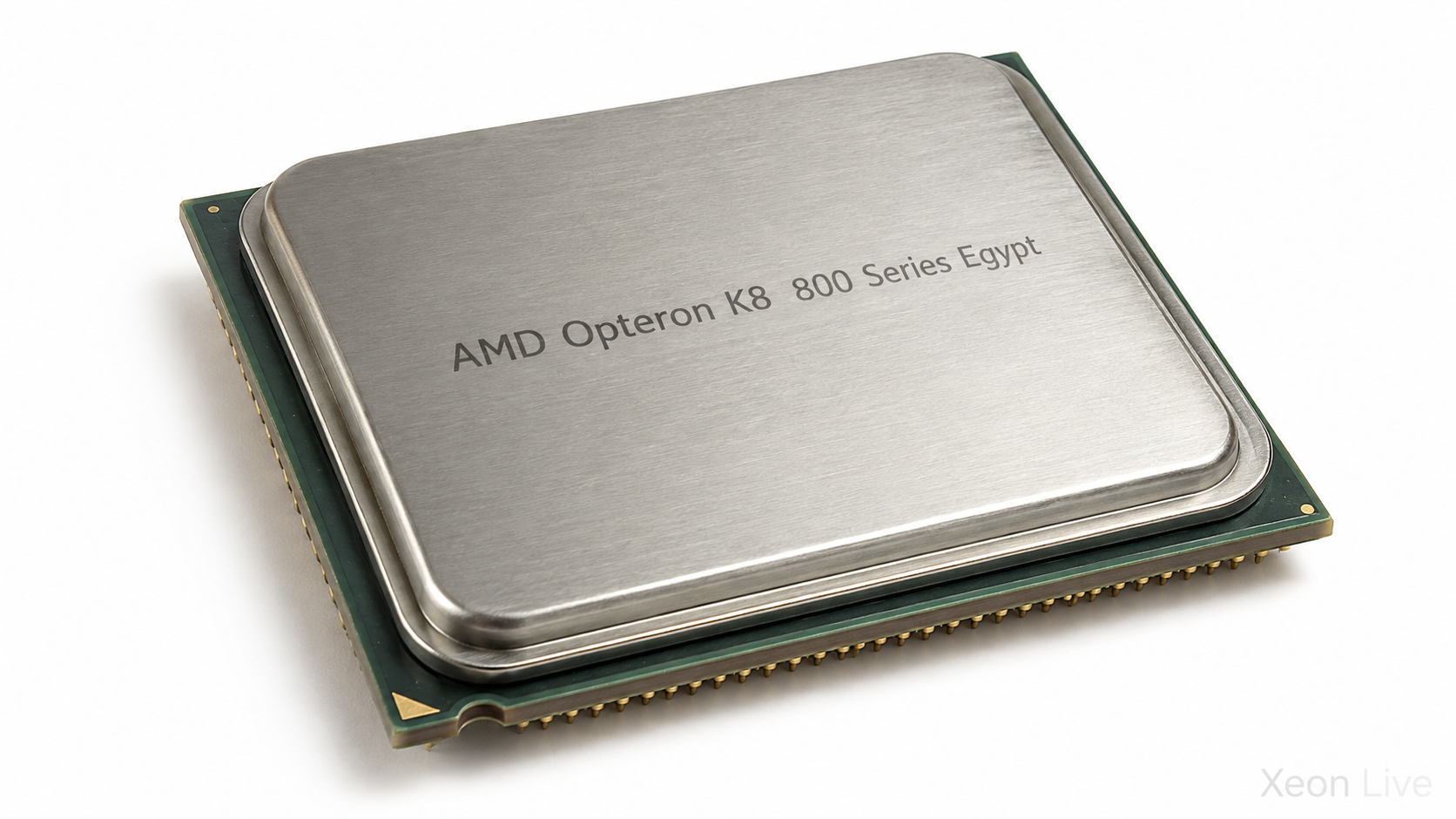 AMD Opteron K8 800 Series Egypt — обзор серии процессоров