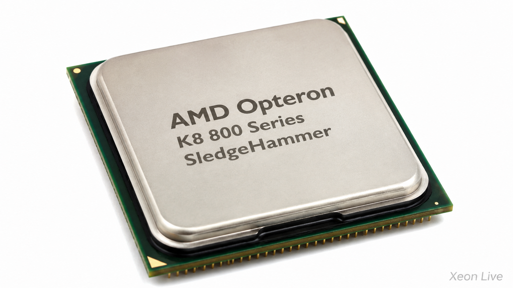 AMD Opteron K8 800 Series SledgeHammer — обзор серии процессоров