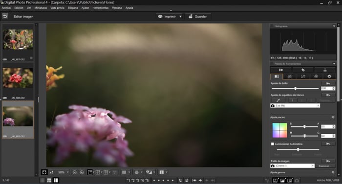 Окно Canon Digital Photo Professional с открытым RAW-файлом CR3