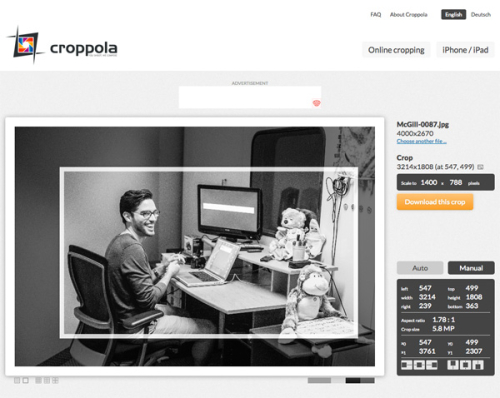 Croppola в ручном режиме с точным размером Scale to, рамкой кадрирования и кнопкой Download this crop