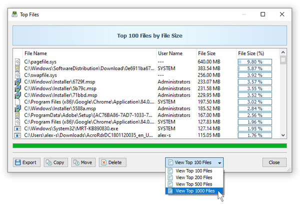 Top Files в DiskSavvy