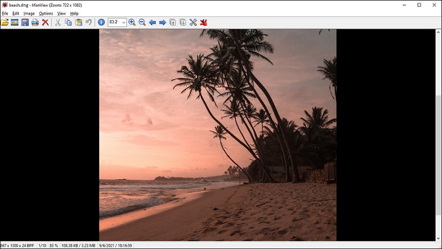 IrfanView — просмотр DNG