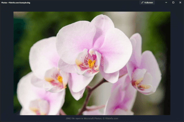 DNG в Microsoft Photos