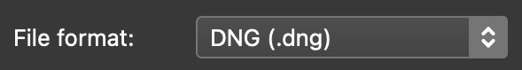 Выбор DNG в поле File format