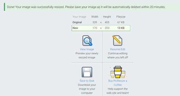 Финальная страница результата PicResize после обработки изображения
