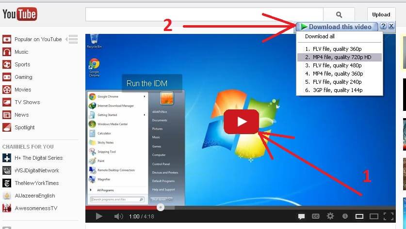 Панель Download This Video в Internet Download Manager
