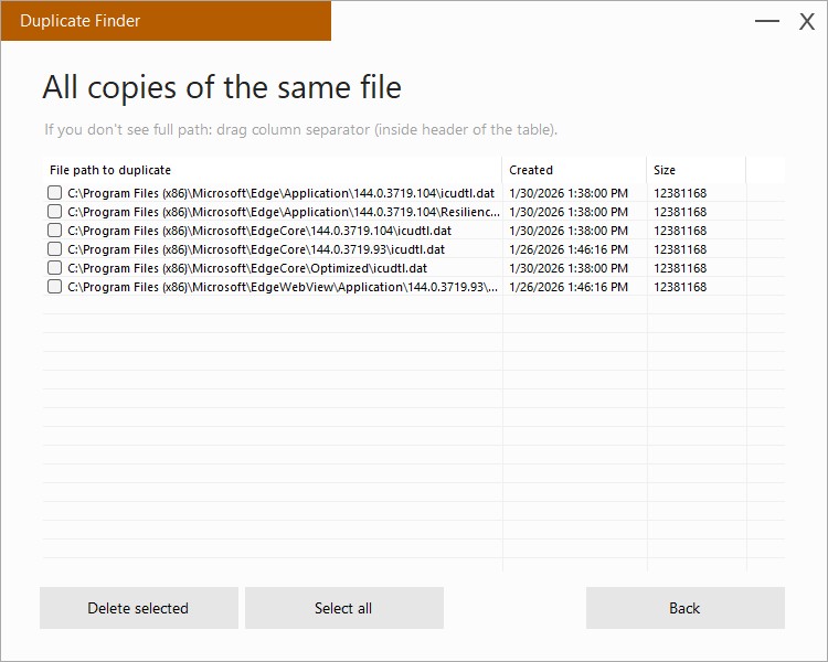 Экран All copies of the same file в PrivacyRoot Duplicate Finder