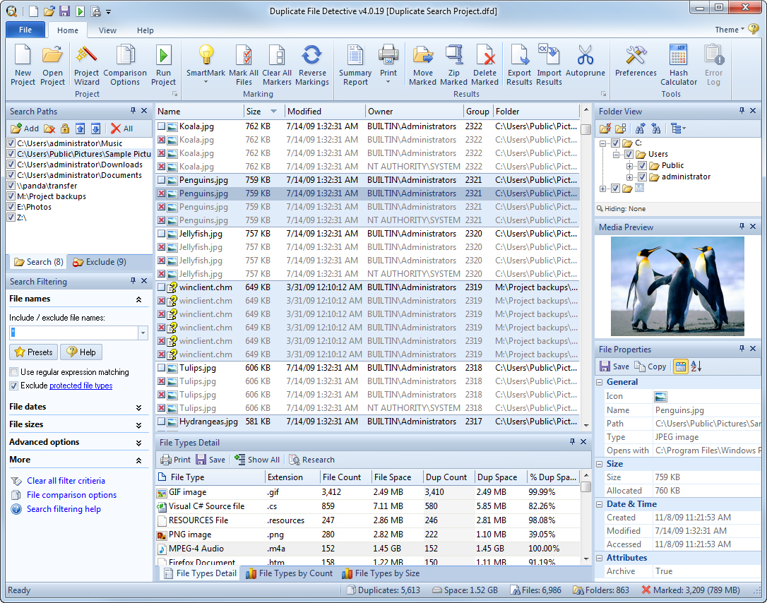 Главное окно Duplicate File Detective с поисковыми панелями, отчетом и аналитикой