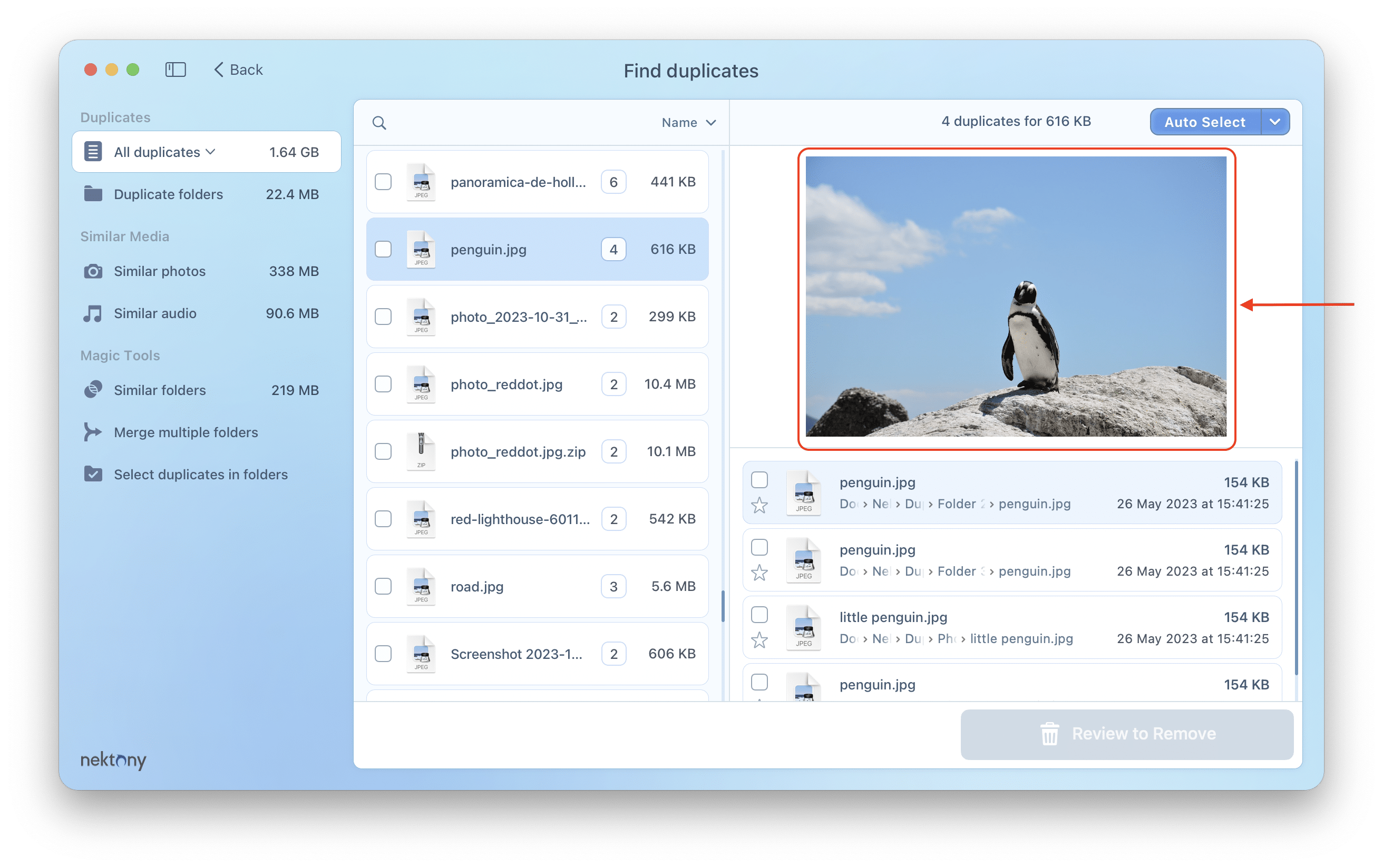 Просмотр групп дублей и предпросмотр файла в Nektony Duplicate File Finder