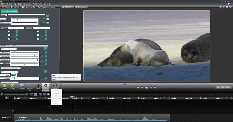 Интерфейс Camtasia