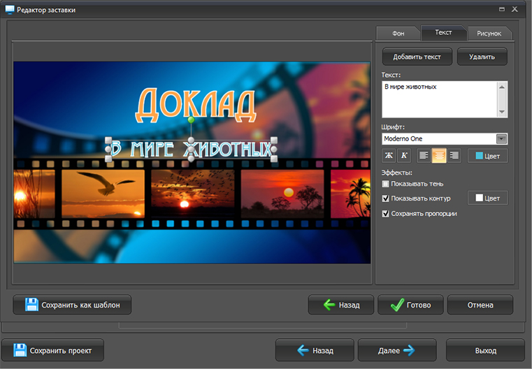 Экранная Камера