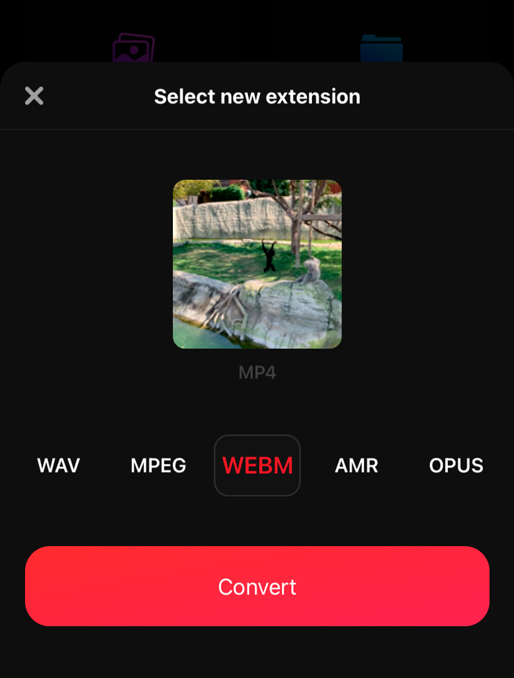 Скриншот MP3 Converter Plus