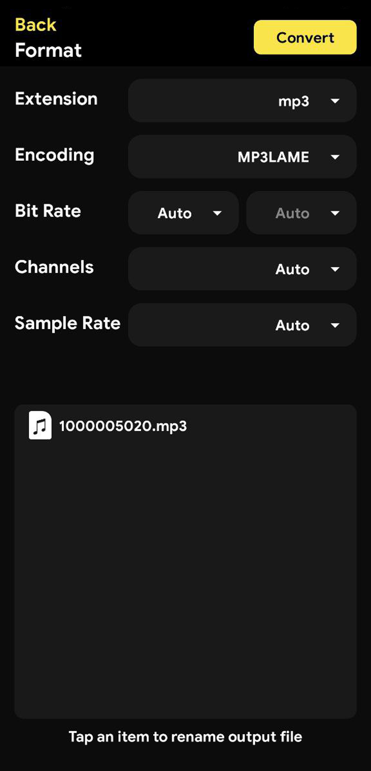 Скриншот Media Converter iOS